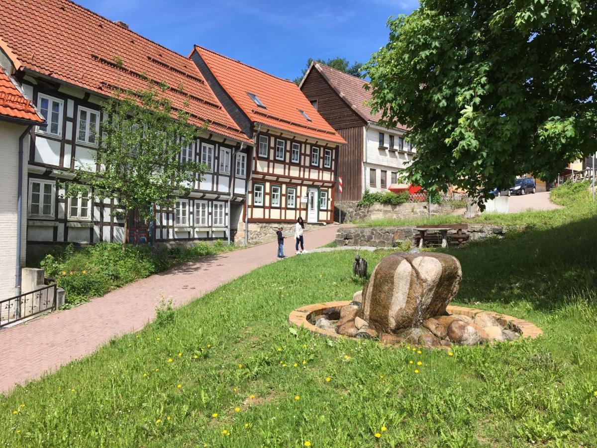 Blockhaus Harzblick4C Villa Braunlage Exterior photo